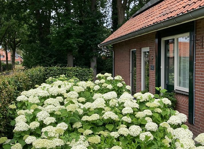 Vacation home in Oldenzaal, Twente, with charming wooden facade and red roof tiles, surrounded by lush nature.