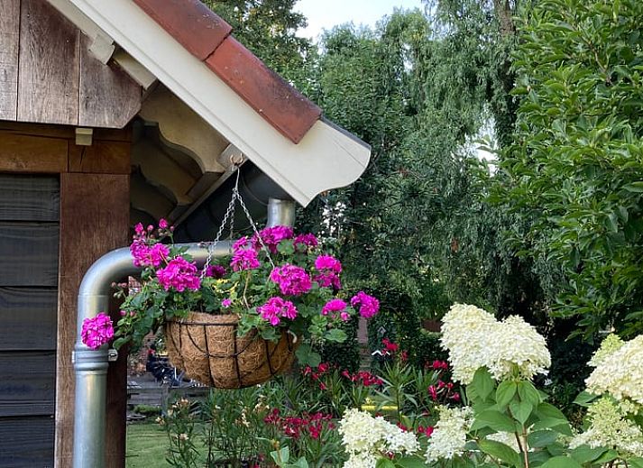 Vacation home in Oldenzaal, Twente, with charming wooden facade and red roof tiles, surrounded by lush nature.