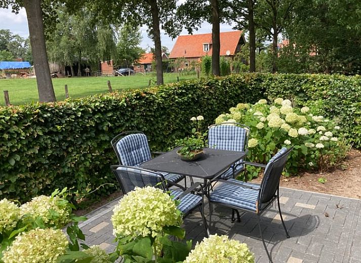 Flowering hydrangeas adorn the entrance to Holiday Home in Oldenzaal, a bed and breakfast in Twente, Overijssel.