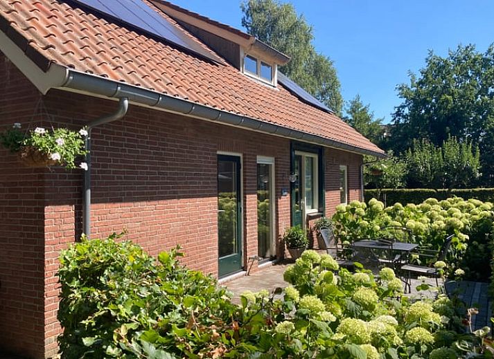 Flowering hydrangeas adorn the entrance to Holiday Home in Oldenzaal, a bed and breakfast in Twente, Overijssel.