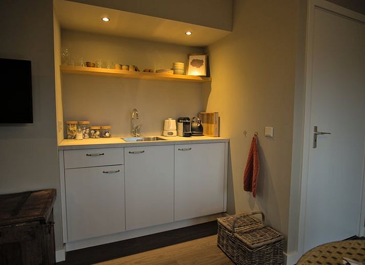 Flowering hydrangeas adorn the entrance to Holiday Home in Oldenzaal, a bed and breakfast in Twente, Overijssel.