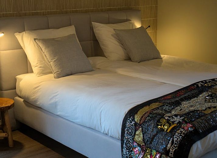 Cozy side garden of Holiday Home in Oldenzaal, Twente, with flowering hydrangeas and an inviting path.