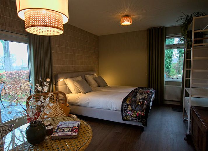 Cozy side garden of Holiday Home in Oldenzaal, Twente, with flowering hydrangeas and an inviting path.