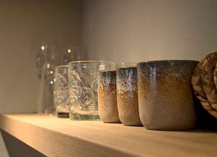 Cozy side garden of Holiday Home in Oldenzaal, Twente, with flowering hydrangeas and an inviting path.