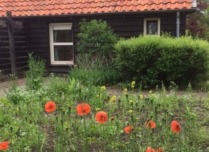 Luchtfoto van Vakantiehuis in Hellendoorn te midden van groene natuur in Salland, Overijssel.