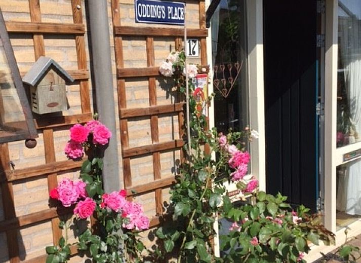 Guest house 540611 - Bed and Breakfast Vechtstreek - Oddingsplace