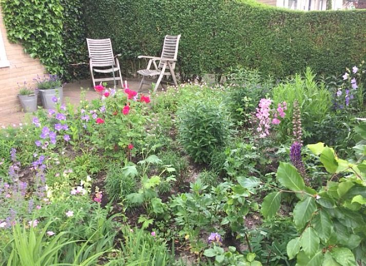 Guest house 540611 - Bed and Breakfast Vechtstreek - Oddingsplace