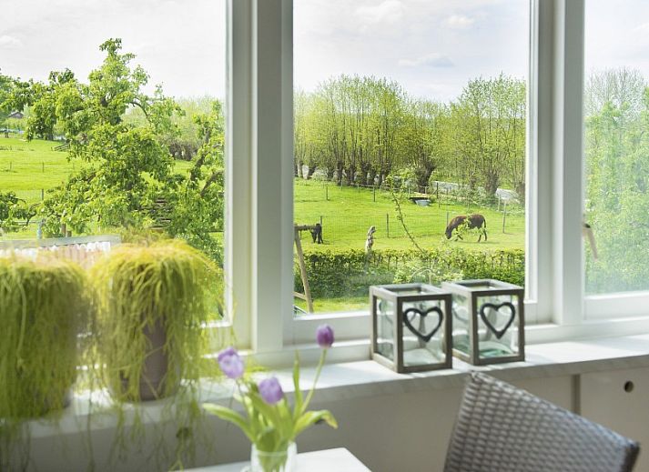 Verblijf 570301 - Bed and breakfast Utrechtse Heuvelrug - Boerderij De Boterbloem