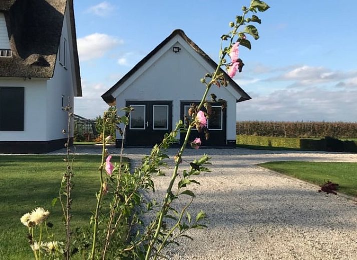 Guest house 571502 • Bed and Breakfast Utrechtse Heuvelrug • Vakantiehuis in Cothen 