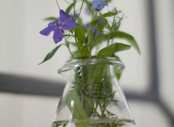 Authentieke deurknoppen in Vakantiehuis in Oudewater, Utrecht. Historische charme in een bed and breakfast.