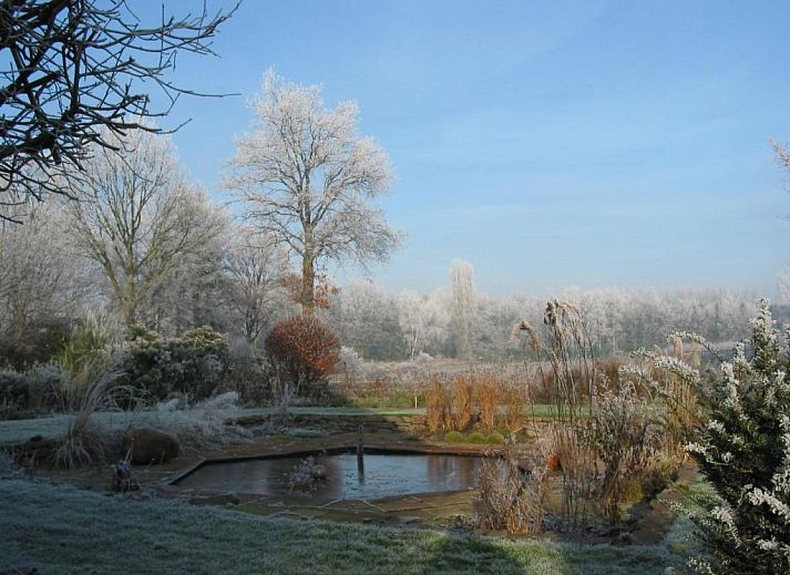Verblijf 583801 - Bed and breakfast Noord Limburg - De Hoge Peel