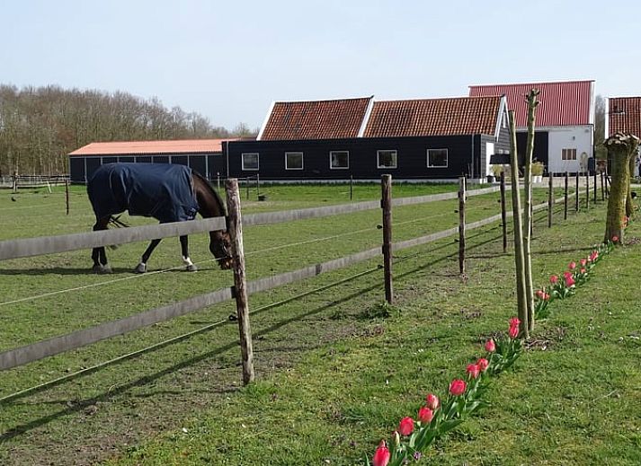 Guest house 603105 - Bed and Breakfast Schouwen-Duiveland - Huisje in Noordgouwe