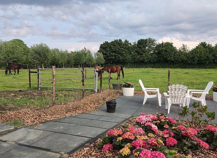 Guest house 603105 - Bed and Breakfast Schouwen-Duiveland - Huisje in Noordgouwe