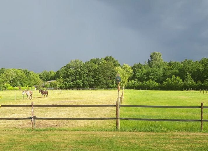 Guest house 603105 - Bed and Breakfast Schouwen-Duiveland - Huisje in Noordgouwe