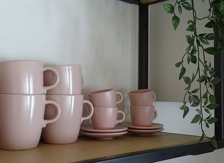 Guest house 603105 - Bed and Breakfast Schouwen-Duiveland - Huisje in Noordgouwe