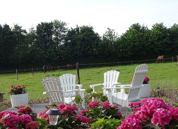 Guest house 603105 - Bed and Breakfast Schouwen-Duiveland - Huisje in Noordgouwe