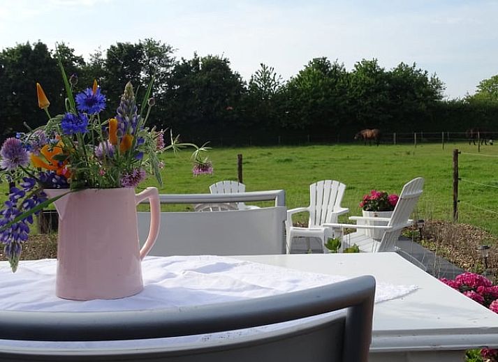 Guest house 603105 - Bed and Breakfast Schouwen-Duiveland - Huisje in Noordgouwe