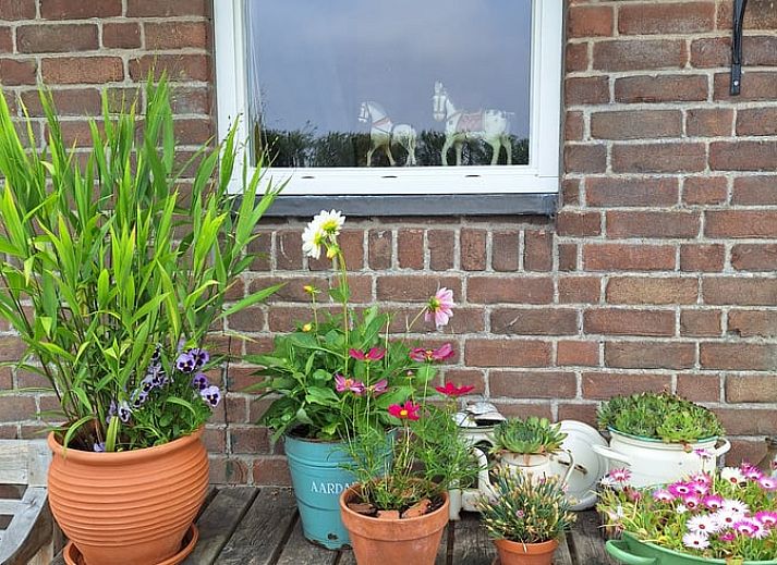 Cozy garden at Huisje in Arnemuiden, bed and breakfast in Walcheren, Zeeland.