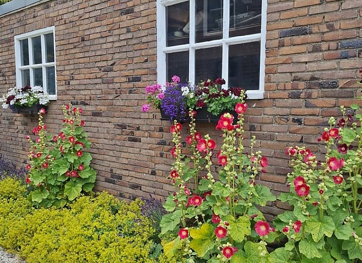 Cozy garden at Huisje in Arnemuiden, bed and breakfast in Walcheren, Zeeland.