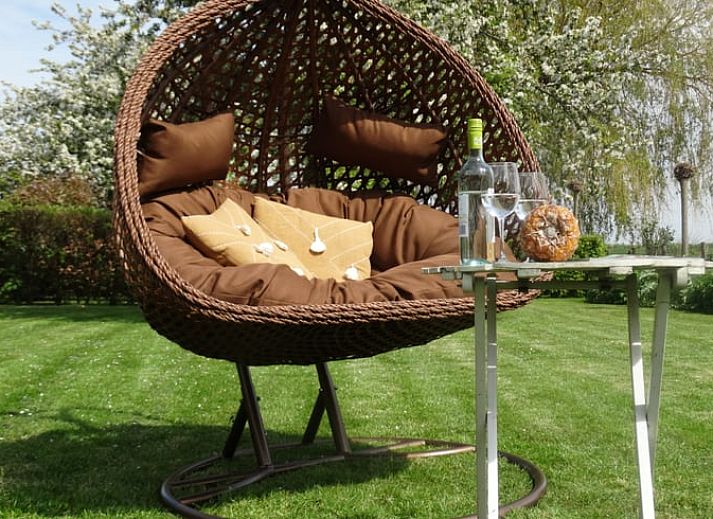 Flowering plants at Huisje in Arnemuiden, bed and breakfast in Arnemuiden, Zeeland.