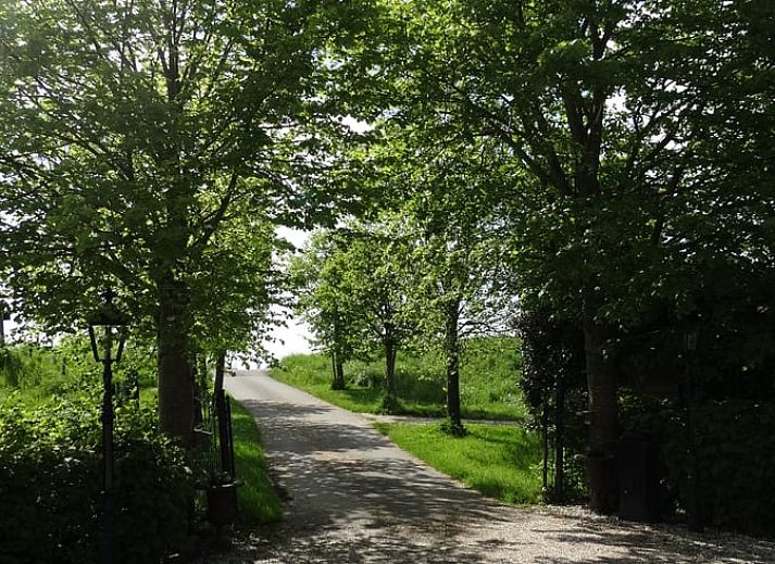 Flowering plants at Huisje in Arnemuiden, bed and breakfast in Arnemuiden, Zeeland.