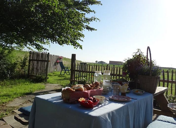 Flowering plants at Huisje in Arnemuiden, bed and breakfast in Arnemuiden, Zeeland.
