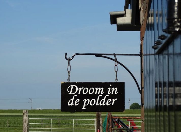 Flowering plants at Huisje in Arnemuiden, bed and breakfast in Arnemuiden, Zeeland.