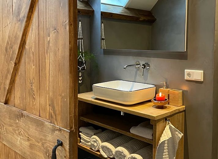 Colorful flowers for Cottage in Arnemuiden, vacation home in Walcheren, Zeeland.