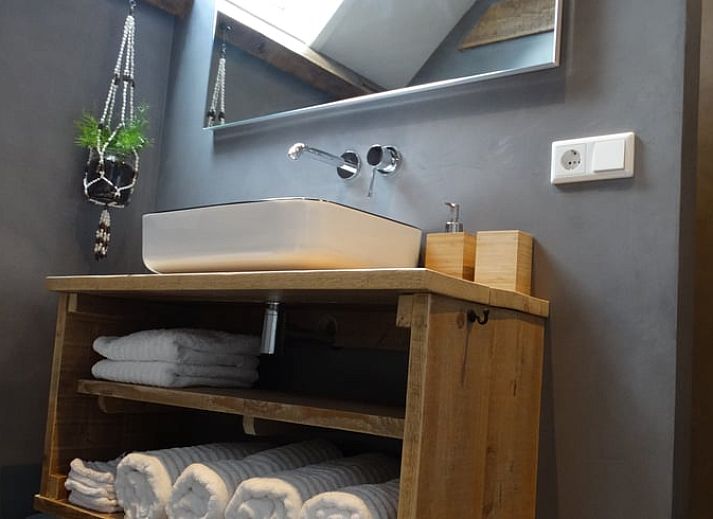 Colorful flowers for Cottage in Arnemuiden, vacation home in Walcheren, Zeeland.