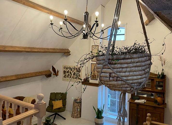 Colorful flowers for Cottage in Arnemuiden, vacation home in Walcheren, Zeeland.