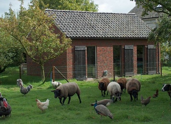 Verblijf 640202 • Bed and breakfast Zuid-Beveland • de Witte Hoeve