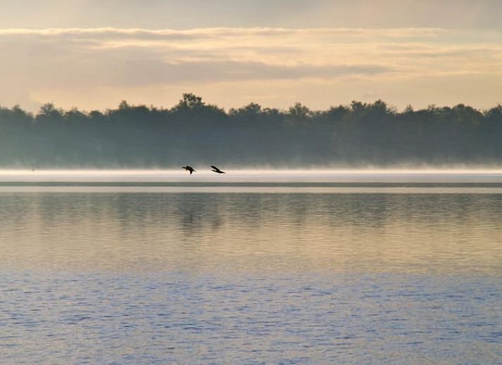 Guest house 673403 - Bed and Breakfast Groene hart - Huisje in Nieuwkoop
