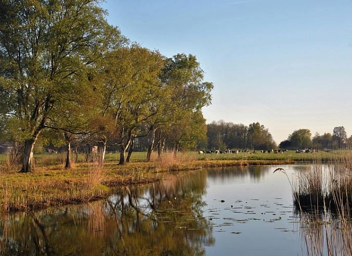 Guest house 673403 - Bed and Breakfast Groene hart - Huisje in Nieuwkoop