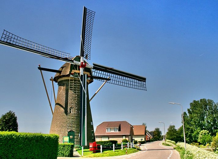 Ingang van DE DIJK bed and breakfast in Zuid-Beijerland, Zuid-Holland met bloeiende planten.