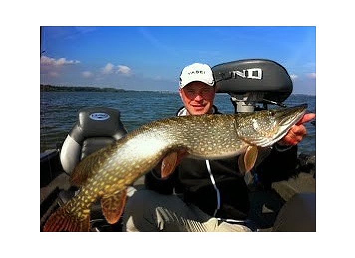 Ingang van DE DIJK bed and breakfast in Zuid-Beijerland, Zuid-Holland met bloeiende planten.