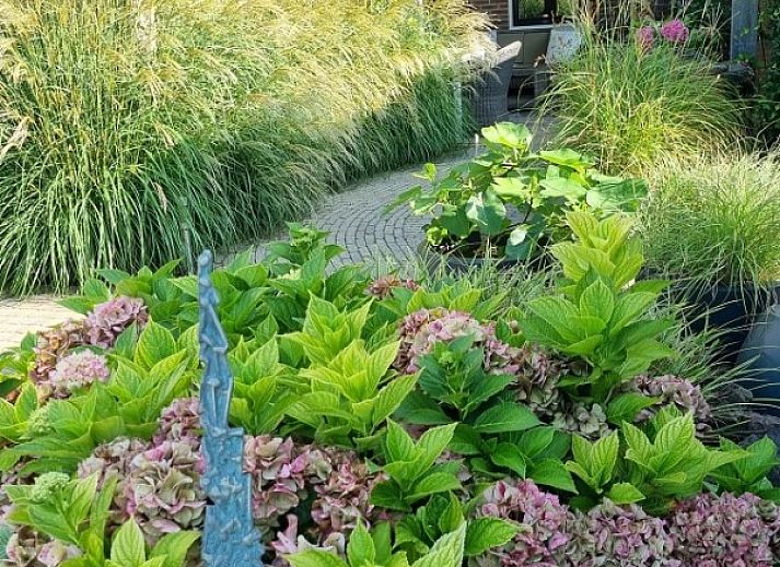 Veerpont over rivier in Zuid-Beijerland, dichtbij DE DIJK bed and breakfast, een uniek verblijf.