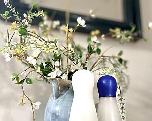 Verblijf 012405 - Bed and breakfast Friese elfsteden - Villa Kakelbont