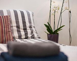 Guest house 0151406 - Bed and Breakfast Amsterdam eo - Kuwadro B&B Amsterdam Centrum