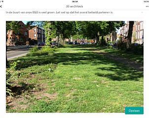 Frisse bloemen in een vaas bij Imagine My B&B Rotterdam, een vleugje natuur.