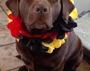 Guest house 034516 - Bed and Breakfast Noordzeekust - Kerstins Bed and Breakfast