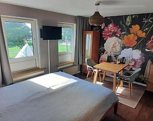 Guest house 034524 • Bed and Breakfast Noordzeekust • B&B La Vida 