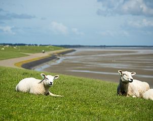 Verblijf 0403217 - Bed and breakfast Ameland - Breeze 2