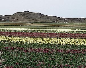 Verblijf 050169 - Bed and breakfast Texel - B&B Het Spookhuis