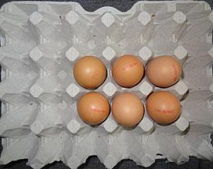 Verse eieren in Bed and Breakfast de Kleyne Wereld, Vlissingen voor een lokaal ontbijt.