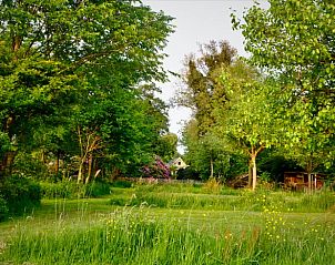 Guest house 070103 - Bed and Breakfast Heegermeer - Vakantiehuisje in Heeg