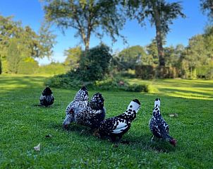 Guest house 070103 - Bed and Breakfast Heegermeer - Vakantiehuisje in Heeg