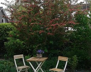 Verblijf 076219 - Bed and breakfast Walcheren - B&B Witvliet, kamers en studio met heerlijk ontbijt !