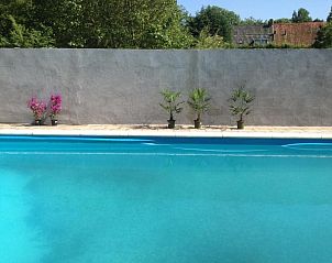 Verfrissend zwembad bij Bed & Breakfast Zeeland, Noordwelle, omgeven door planten.