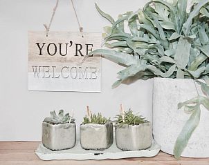 Welkom bord en planten decoratie bij Bed & Breakfast Zeeland, Noordwelle.