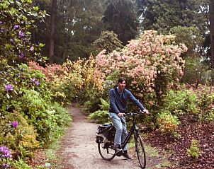 Guest house 135002 - Bed and Breakfast Noord-Holland zuid - Art+bed and breakfast